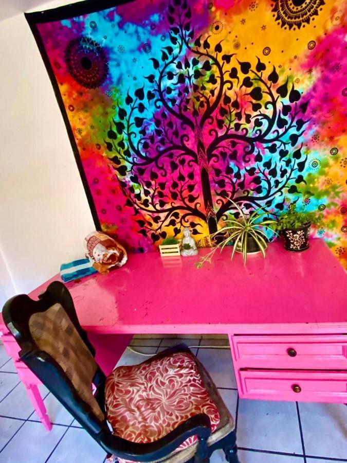 Free Spirit Hostel グアダラハラ エクステリア 写真