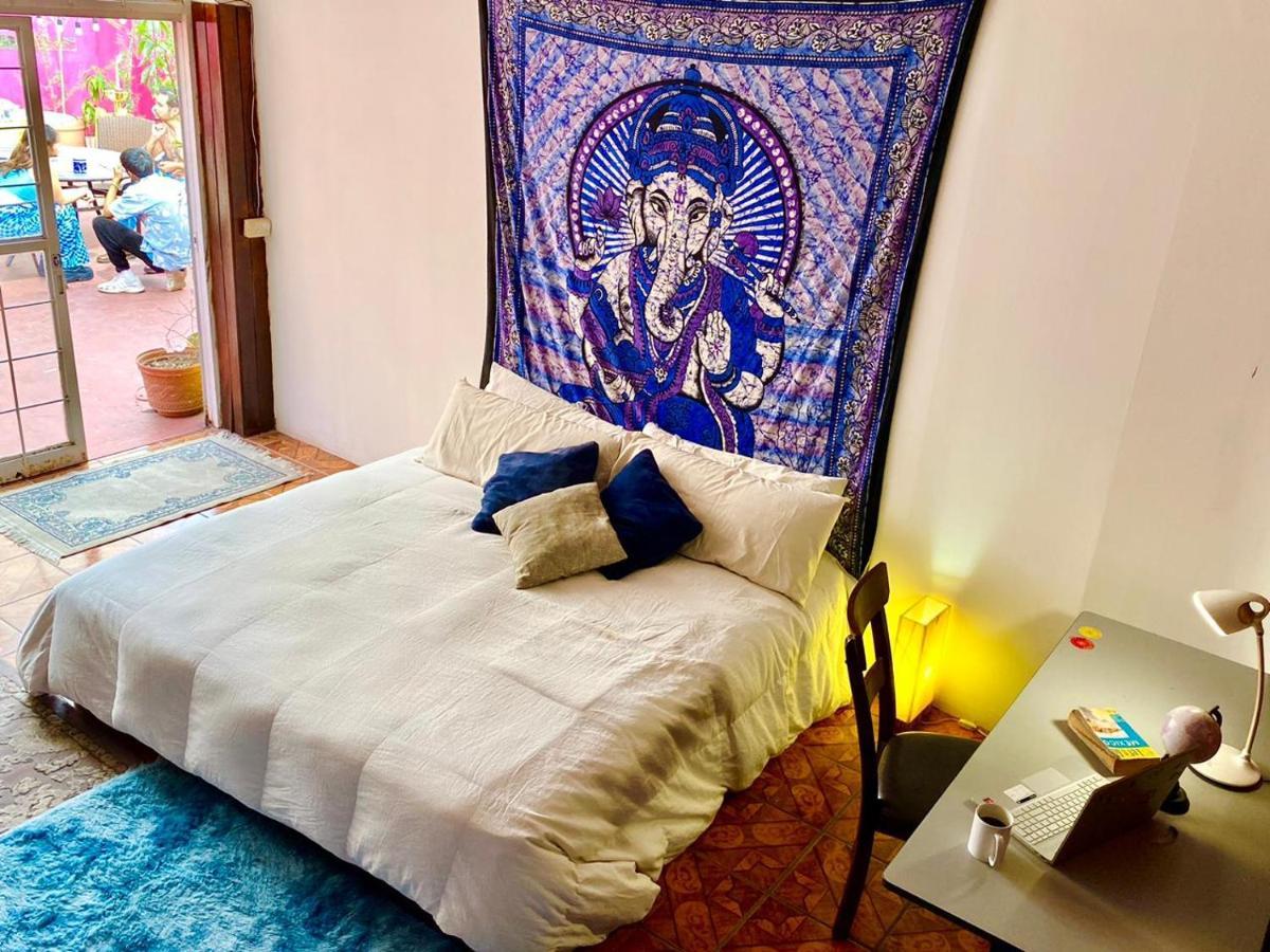 Free Spirit Hostel グアダラハラ エクステリア 写真