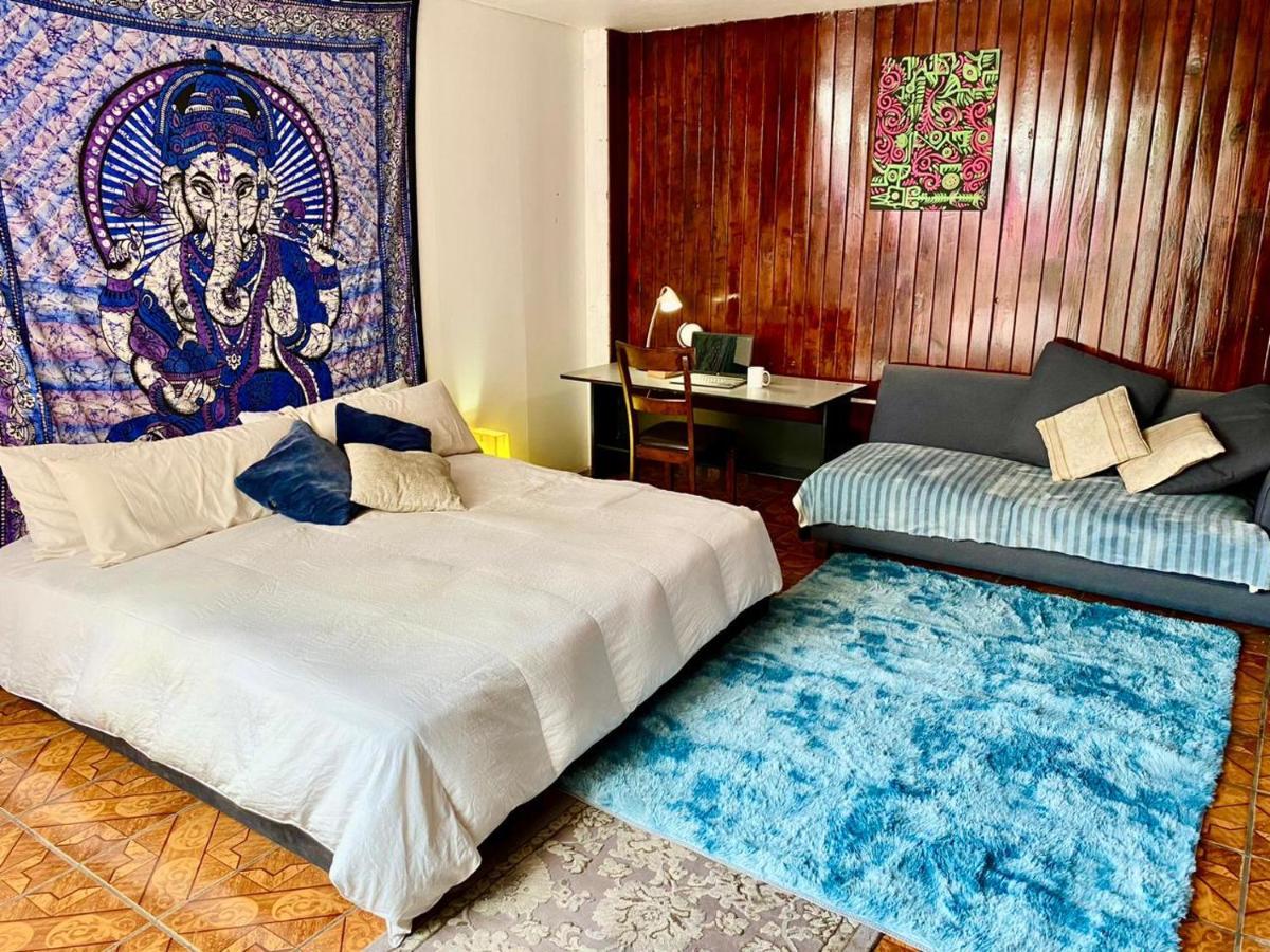 Free Spirit Hostel グアダラハラ エクステリア 写真