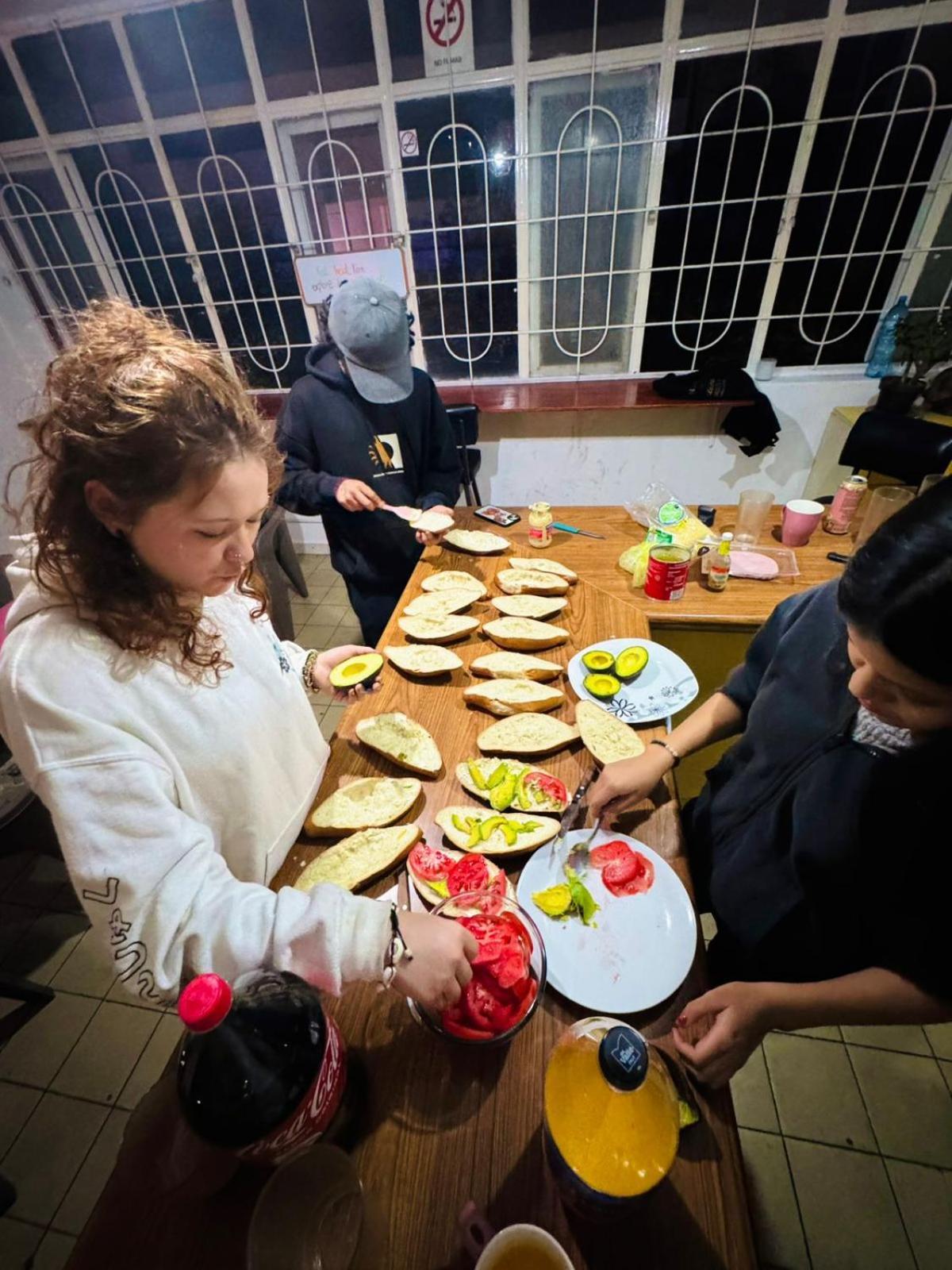Free Spirit Hostel グアダラハラ エクステリア 写真